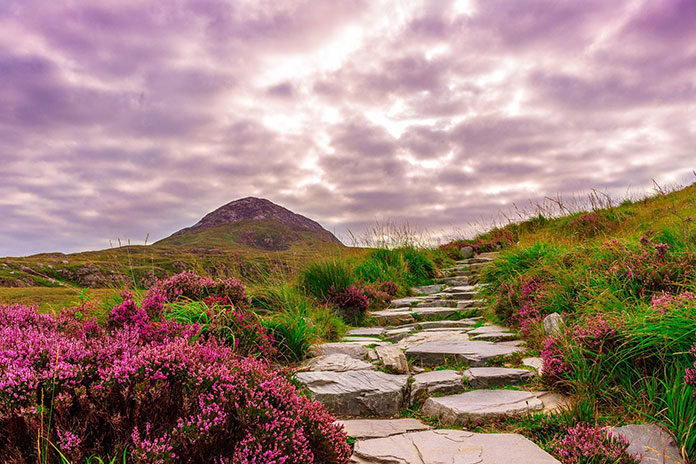 Dzika Irlandia, czyli piękne i naturalne miejsca warte odwiedzenia