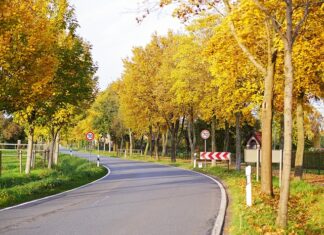 Jak ominąć płatną autostradę w Słowenii? Jak ominąć płatną autostradę w Słowenii?