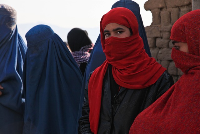 Jaki farsz do Burka?